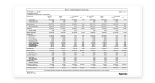 Betriebswirtschaftliche Auswertung