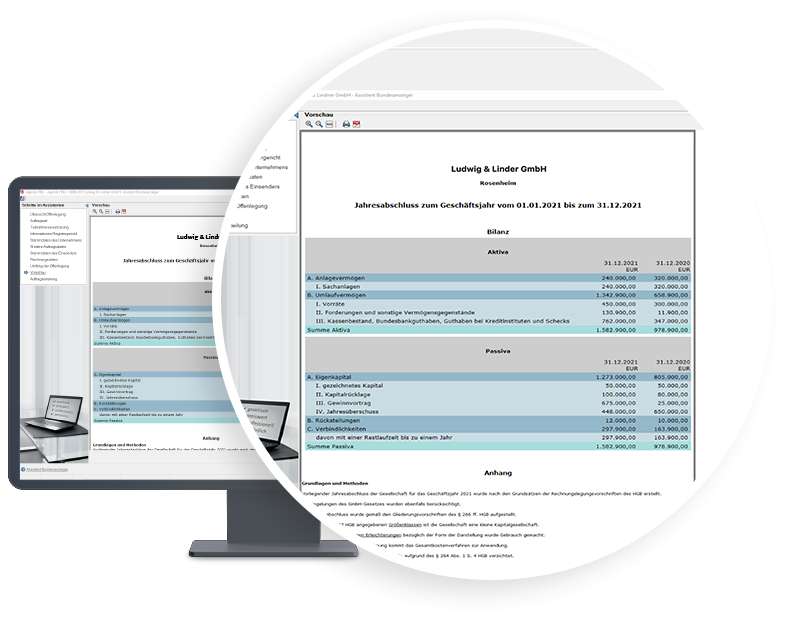 Die Vorschau im Assistenten Bundesanzeiger entspricht exakt der späteren Veröffentlichung bzw. Hinterlegung.