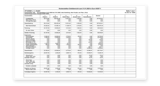 Die Kostenstellen-Chefübersicht macht die Verteilung Ihrer Kosten transparent. 