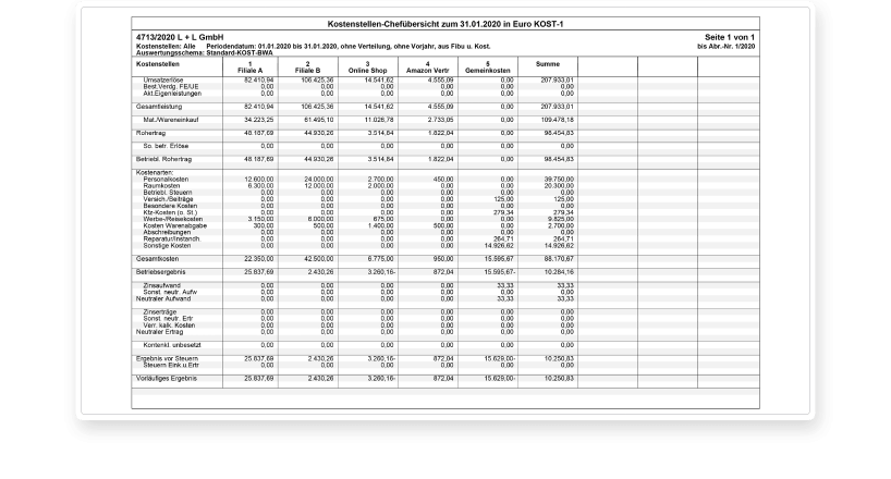 Wertekontrolle in der Rechnungswesen-Software