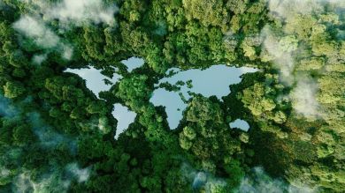 Baum mit Herz und Kinderhänden